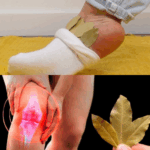 Coloca una ramita de laurel debajo de la almohada y olvídate de la farmacia Coloca una ramita de laurel debajo de la almohada y olvídate de la farmacia