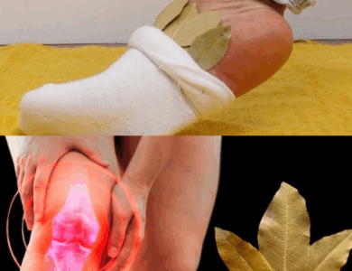 Coloca una ramita de laurel debajo de la almohada y olvídate de la farmacia