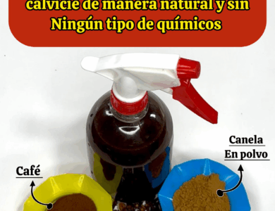 Secreto indio para hacer crecer el cabello y combatir la calvicie de forma natural