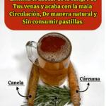 Esta bebida te limpia la sangre y mejora la circulación