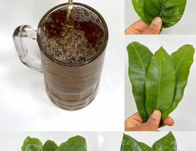 La infusión de 4 hojas que combate la diabetes, el cáncer, el hígado graso, la mala circulación y la presión alta… ¡sin pastillas!