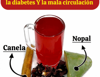 Limpia tus riñones y mejora tu circulación con esta bebida natural