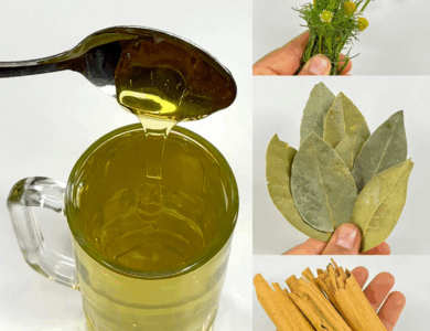 La bebida natural que los médicos no quieren que conozcas… La bebida natural que los médicos no quieren que conozcas…