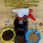 El Secreto Indio para Hacer Crecer el Cabello Rápido y Detener la Calvicie