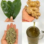 La Bebida Que Los Médicos No Quieren Que Sepas