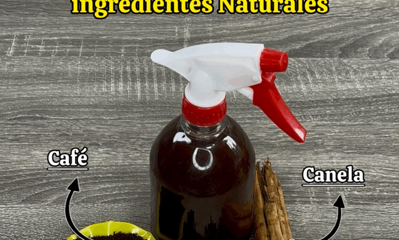 Secreto Indio Para Hacer Crecer Tu Cabello y Decir Adiós a las Canas