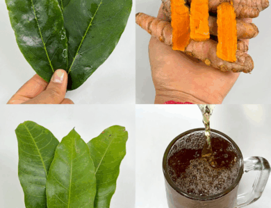 Bebida Natural Para la Diabetes, la Presión Alta y la Mala Circulación Bebida Natural Para la Diabetes, la Presión Alta y la Mala Circulación