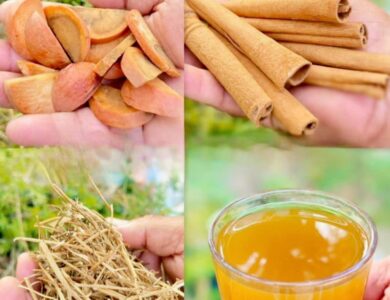 Infusión de Semilla de Aguacate con Canela y Manzanilla