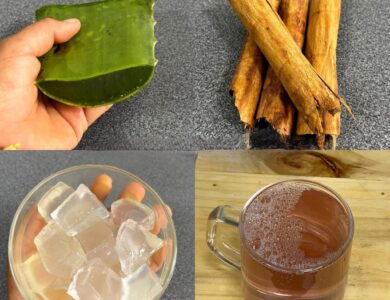 Infusión Casera de Sábila y Canela: Refrescante, Digestiva y Reconfortante Infusión Casera de Sábila y Canela: Refrescante, Digestiva y Reconfortante