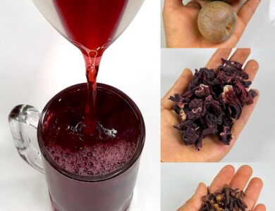 Infusión de semilla de aguacate, flor de Jamaica y clavo de olor