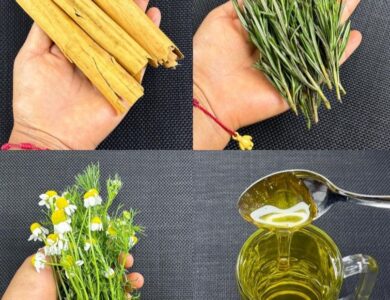 Infusión de Manzanilla, Romero y Canela: Un Alivio Natural para Dolores y Circulación