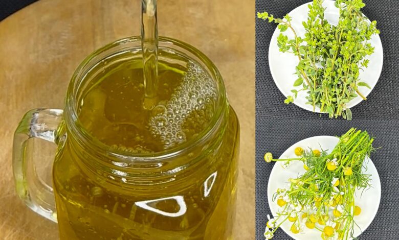 Infusión herbal de orégano, canela y manzanilla