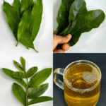 Infusión de Hojas de Guayaba, Guanábana y Mango con Cúrcuma