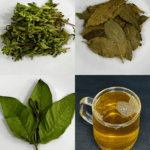 Infusión de Orégano, Laurel y Guayaba: Un Ritual Natural de Bienestar