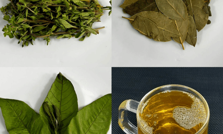 Infusión de Orégano, Laurel y Guayaba: Un Ritual Natural de Bienestar