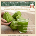Chayote: El Tesoro Natural que Mejora la Circulación, Combate la Anemia y Alivia el Dolor Articular Chayote: El Tesoro Natural que Mejora la Circulación, Combate la Anemia y Alivia el Dolor Articular