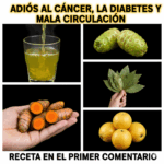 Adiós al cáncer, la diabetes y la mala circulación con esta bebida natural