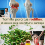 Tomillo: El Remedio Natural para Regenerar el Cartílago y Fortalecer las Rodillas
