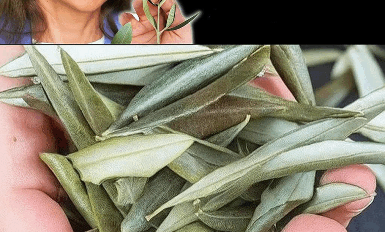 Un Enfoque Natural para Apoyar el Cáncer: La Perspectiva de Barbara O’Neill