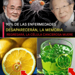 Secretos de Longevidad Japonesa: Lo Que Comen Cada Día los Médicos Más Longevos de Japón para Mantenerse Jóvenes y Fuertes Secretos de Longevidad Japonesa: Lo Que Comen Cada Día los Médicos Más Longevos de Japón para Mantenerse Jóvenes y Fuertes