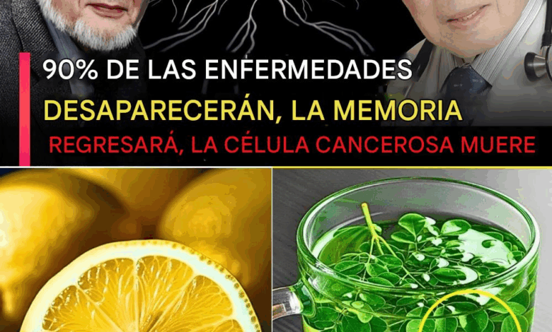 Secretos de Longevidad Japonesa: Lo Que Comen Cada Día los Médicos Más Longevos de Japón para Mantenerse Jóvenes y Fuertes