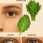 5 Hojas Poderosas Que Mejoran Tu Salud Ocular Naturalmente (Respaldadas por Nutrientes, No Medicamentos)