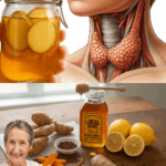 Transforma tu Salud con Miel, Jengibre y Más Transforma tu Salud con Miel, Jengibre y Más