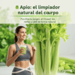 Jugo de Apio para Limpiar Riñones, Hígado y Pulmones