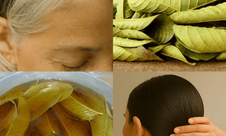 Hojas de Guayaba: El Secreto Natural para un Cabello Fuerte, Piel Radiante y Bienestar Total