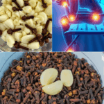 Redescubre tu paso: Ajo y clavo para unos pies sin dolor