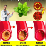 4 Plantas Naturales para Destapar las Arterias y Fortalecer el Corazón: Menta, Alcachofa, Ajo y Cúrcuma