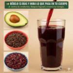 La Semilla de Aguacate: El Secreto Natural que Limpia, Regenera y Fortalece tu Cuerpo