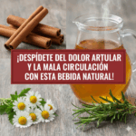Bebida Natural para Despedirte del Dolor Articular y Mejorar la Circulación