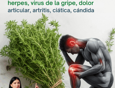 Tomillo: El Guardián Silencioso de la Vitalidad y el Bienestar Natural