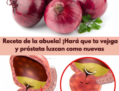 Cebolla y Cáscaras: Remedios Naturales para la Salud de la Vejiga y la Próstata