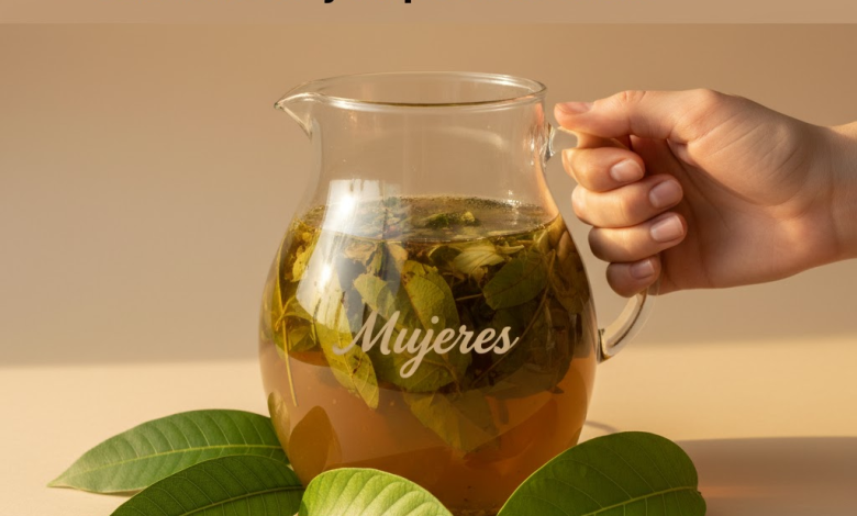 La infusión de hojas naturales recomendada por el Dr. Suárez para la diabetes, la circulación y la presión