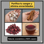 Bebida natural para purificar la sangre y combatir múltiples enfermedades Bebida natural para purificar la sangre y combatir múltiples enfermedades