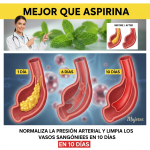 Cómo Limpiar y Proteger tus Arterias de Forma Natural Cómo Limpiar y Proteger tus Arterias de Forma Natural