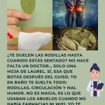 El Secreto del Laurel: Recupera la Movilidad y Despídete del Dolor de Rodillas