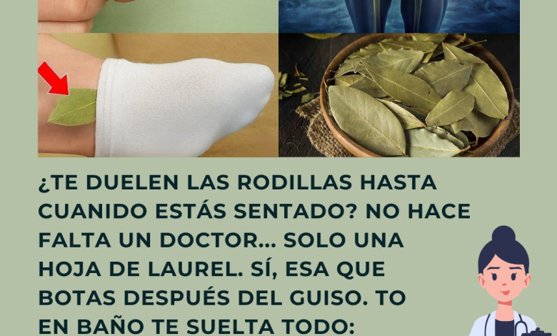 El Secreto del Laurel: Recupera la Movilidad y Despídete del Dolor de Rodillas