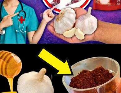 El Elixir de Café, Ajo y Miel: Energía, Defensa y Vitalidad en una Sola Taza El Elixir de Café, Ajo y Miel: Energía, Defensa y Vitalidad en una Sola Taza