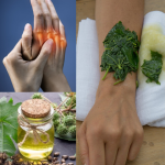 El Aceite de Higuereta: Propiedades, Beneficios y Cómo Extraerlo de Forma Segura El Aceite de Higuereta: Propiedades, Beneficios y Cómo Extraerlo de Forma Segura