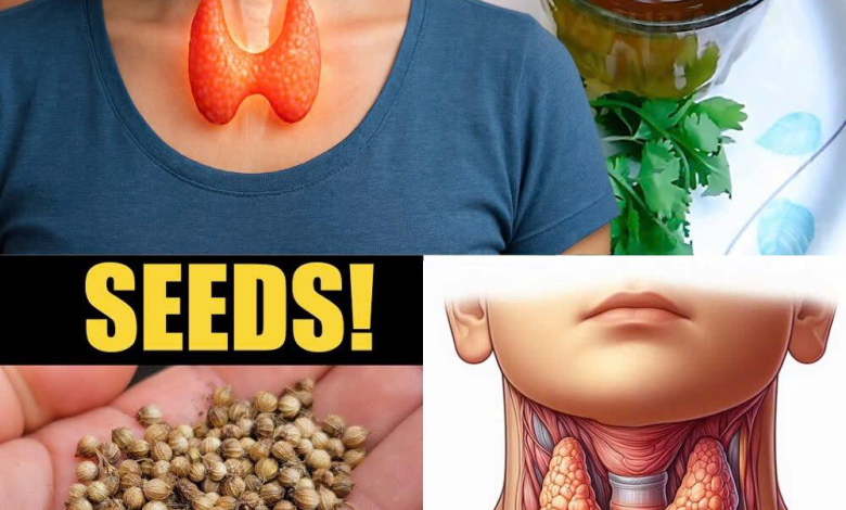 Cómo Cuidar Tu Tiroides Naturalmente: Un Enfoque Holístico para Recuperar Energía y Equilibrio