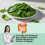 La poderosa espinaca: limpia intestinos, purifica el hígado y fortalece el cuerpo La poderosa espinaca: limpia intestinos, purifica el hígado y fortalece el cuerpo