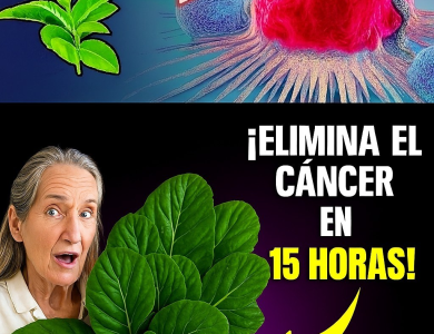 Barbara O’Neill y las 3 Hojas Poderosas para Apoyar la Prevención del Cáncer de Forma Natural