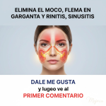 Eucalipto y Limón: El Dúo Natural Más Poderoso para Descongestionar los Pulmones y Combatir la Tos Eucalipto y Limón: El Dúo Natural Más Poderoso para Descongestionar los Pulmones y Combatir la Tos