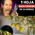 Barbara O’Neill: Sanar el Cuerpo Transformando su Entorno Interno