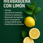Jugo de Hierbabuena con Limón: La Bebida Refrescante que Desintoxica, Energiza y Embellece tu Cuerpo
