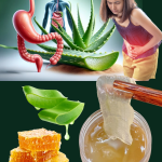 12 Razones por las que las Mujeres Deben Beber Agua de Aloe Vera con Miel Todos los Días 12 Razones por las que las Mujeres Deben Beber Agua de Aloe Vera con Miel Todos los Días