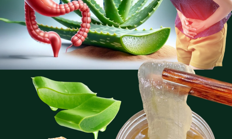 12 Razones por las que las Mujeres Deben Beber Agua de Aloe Vera con Miel Todos los Días